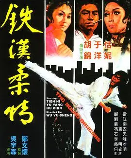 《铁汉柔情》:硬汉外表下的细腻情感,一场关于救赎与爱的动人史诗