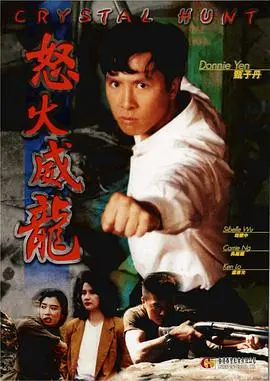 《怒火威龙》：李小龙燃爆荧幕！一代宗师的爱恨情仇与热血传奇，武打片影迷必看！